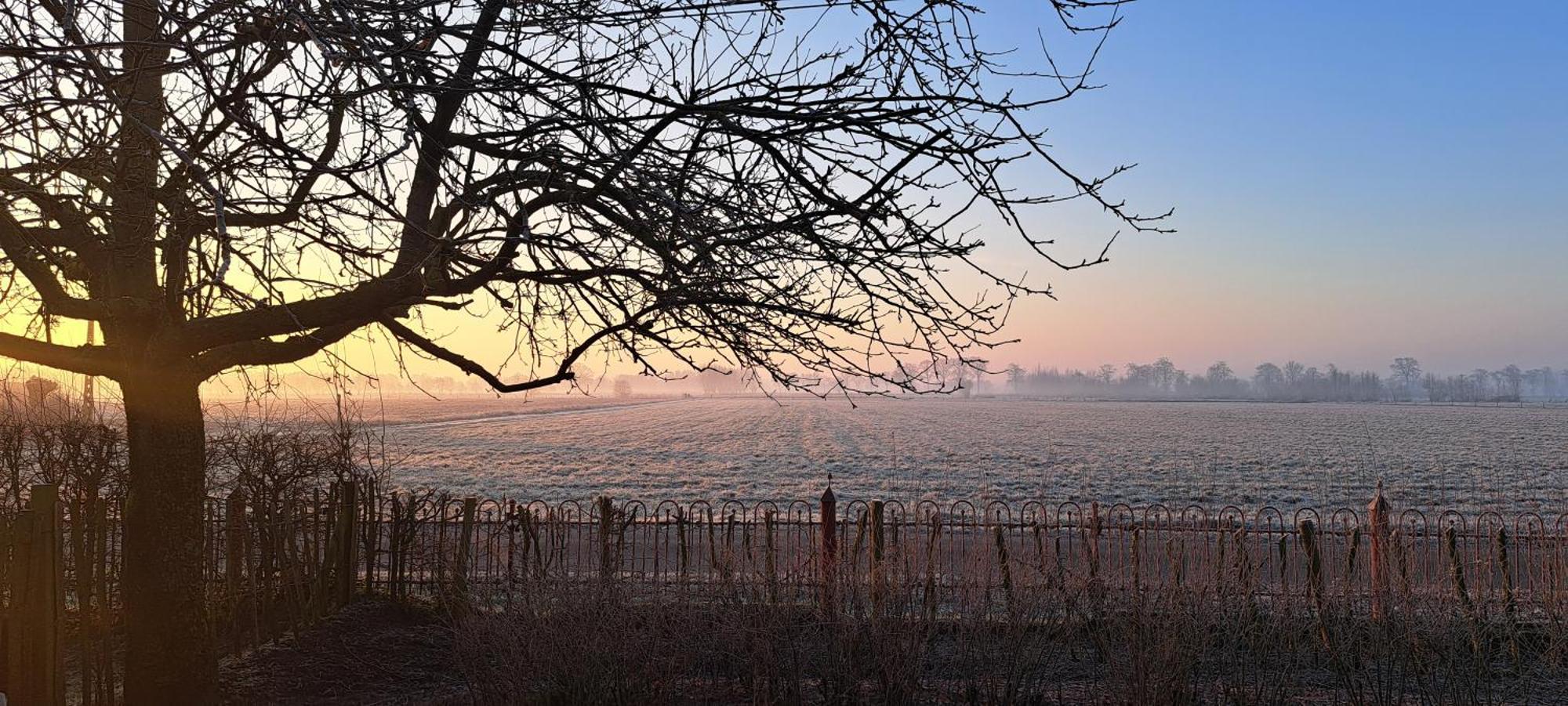 Wilgenwind Villa Sijsele Bagian luar foto