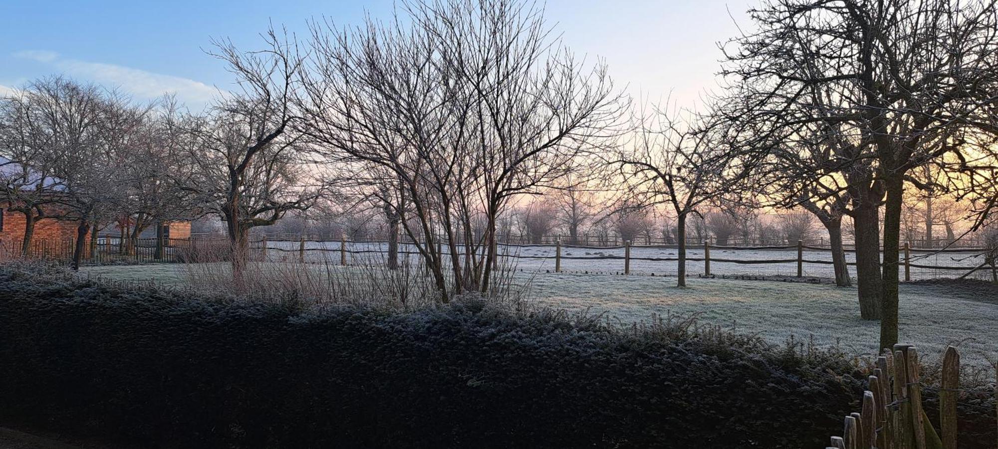 Wilgenwind Villa Sijsele Bagian luar foto