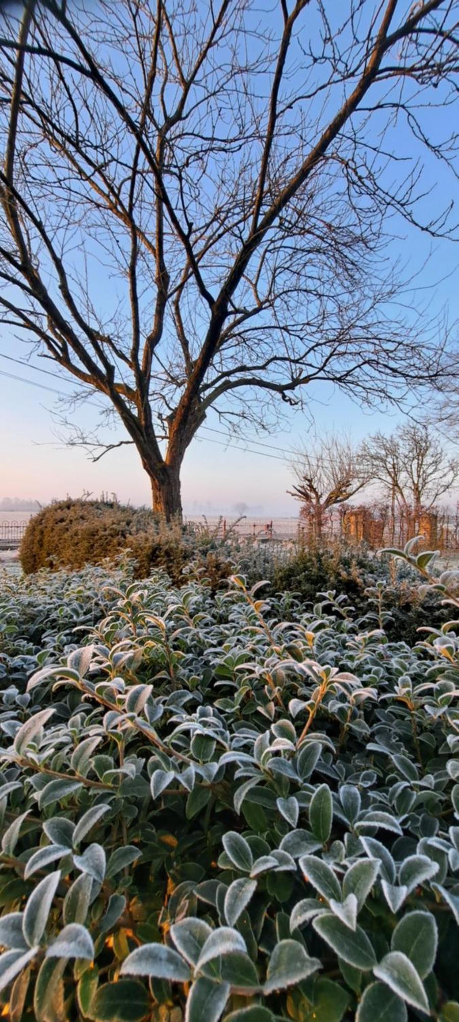 Wilgenwind Villa Sijsele Bagian luar foto