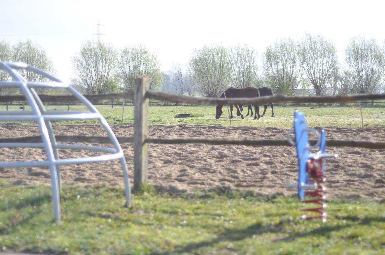 Wilgenwind Villa Sijsele Bagian luar foto